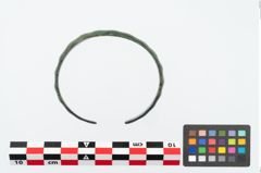 Foto von Bronzemelonenarmreif (NHMW-PRAE-026135)